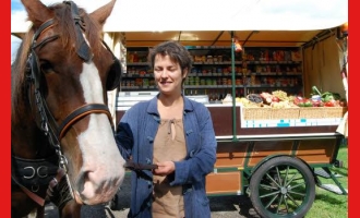 epicerie, chez violaine, pluherlin, 56220, udeq