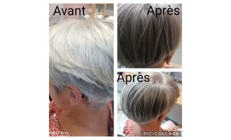 Atelier de la coupe, Questembert, couleur, 56230